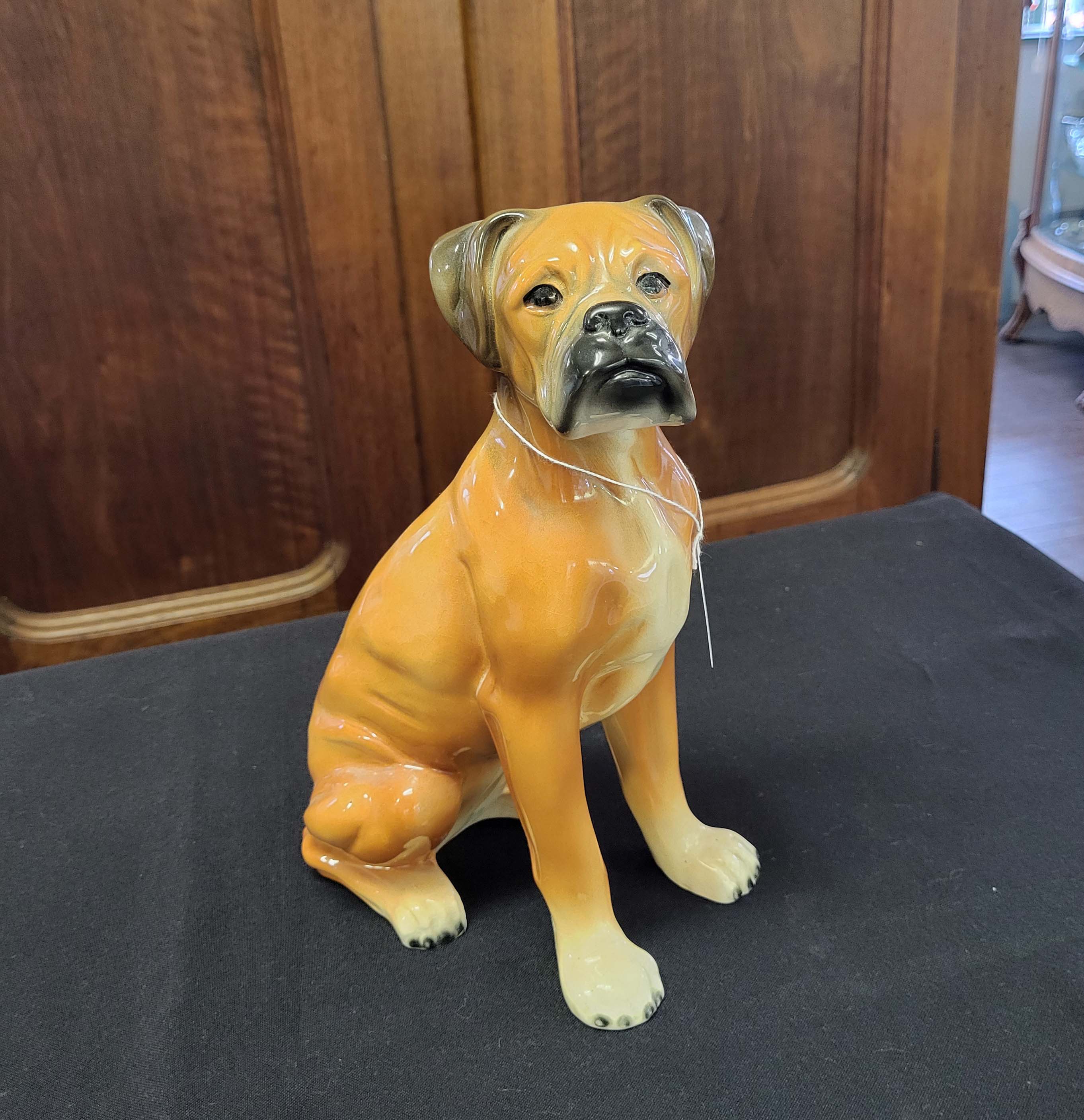BOXER DOG